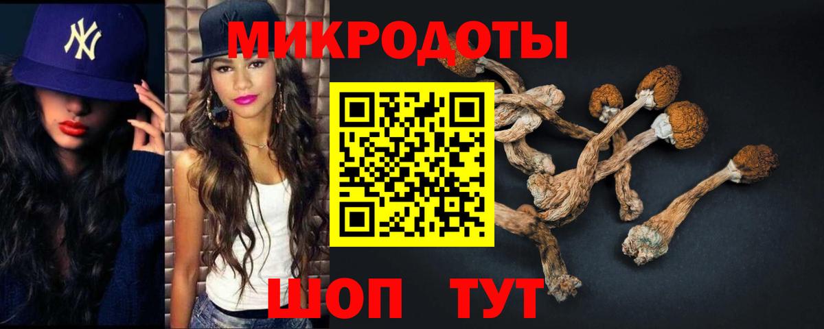 Галлюциногенные грибы Psilocybe  Вход с VPN  Славгород 